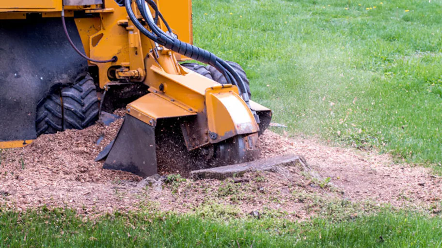 Same day stump grinding